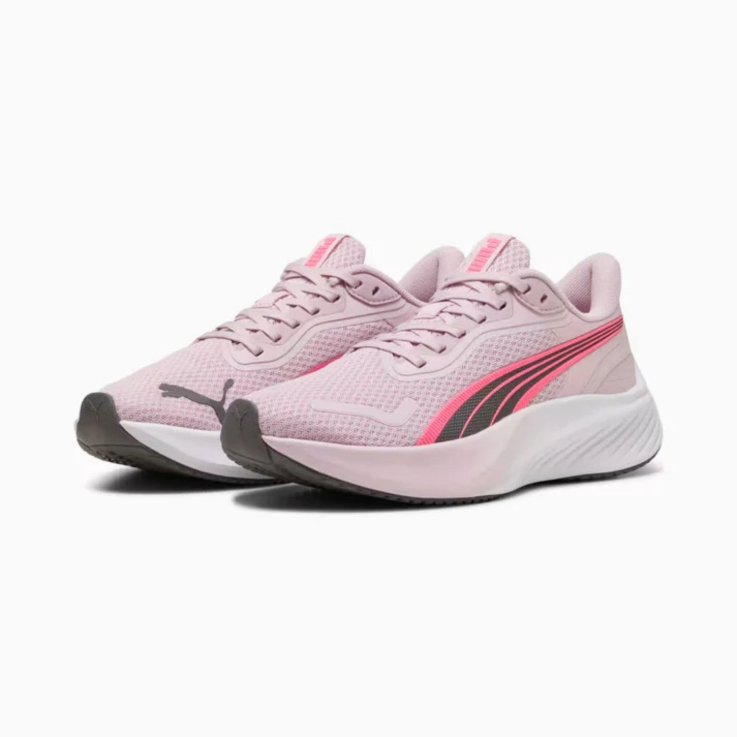 POUNCE LITE WNS