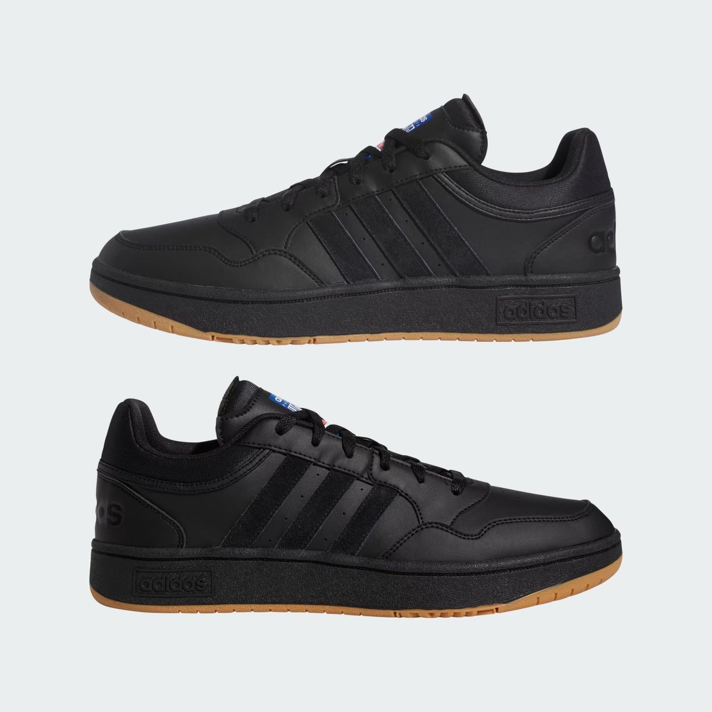 HOOPS 3.0