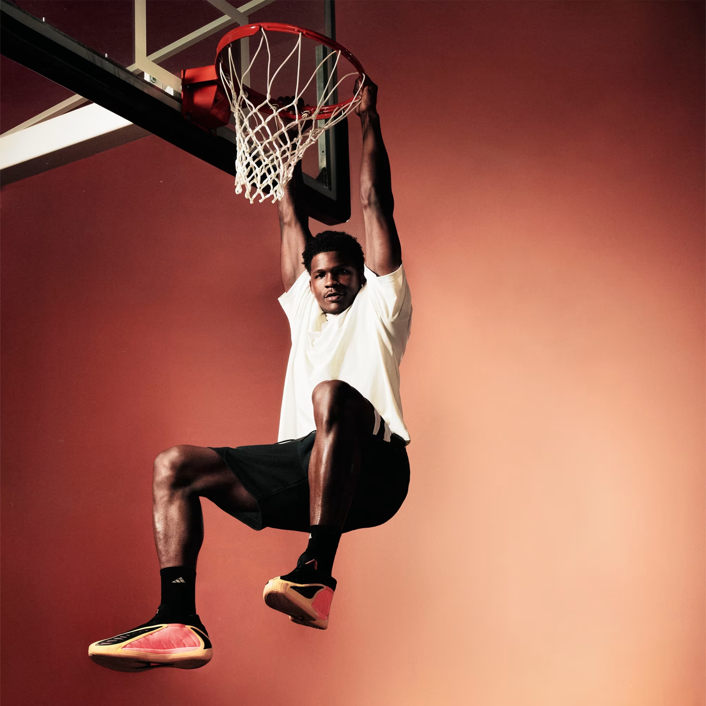 ANTHONY EDWARDS 2 ZAPATOS