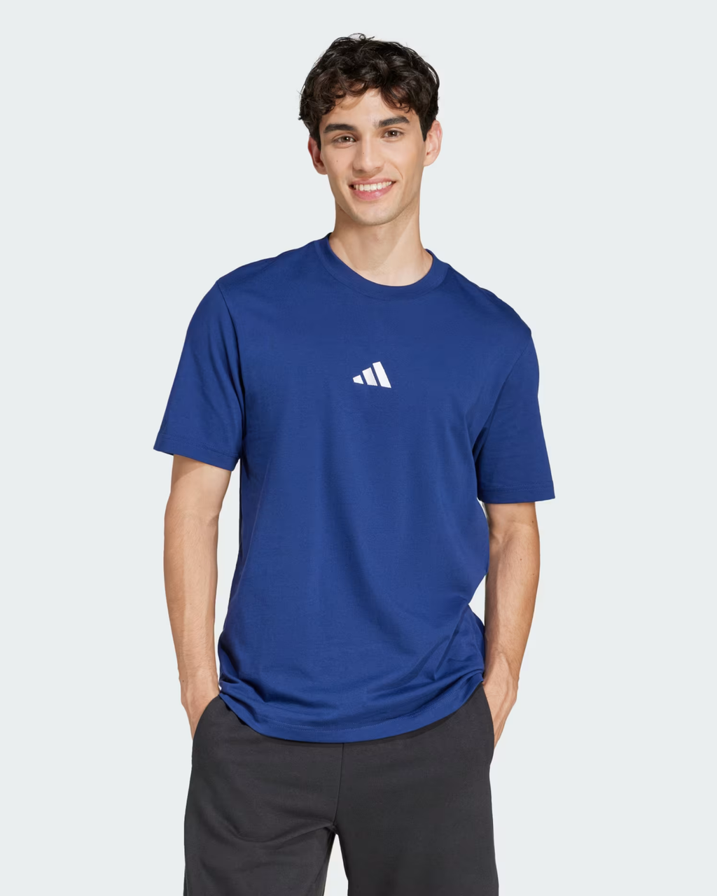 SUETER DE TEJIDO DE PUNTO JERSEY ESSENTIALS SMALL LOGO
