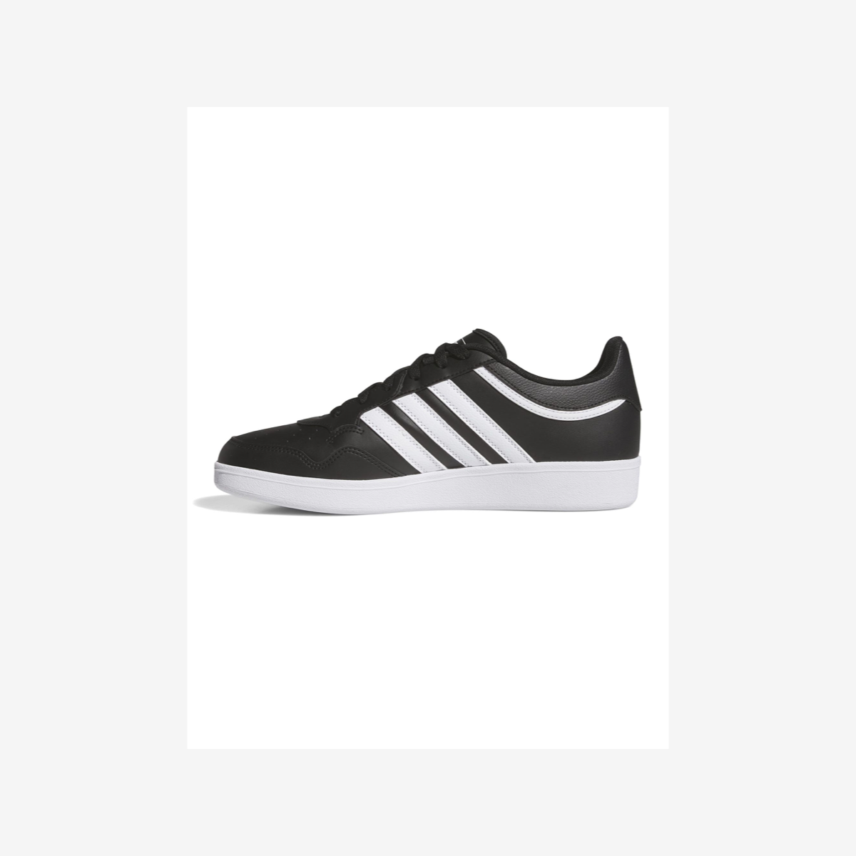 HOOPS 4.0