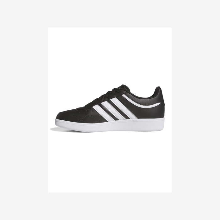 HOOPS 4.0