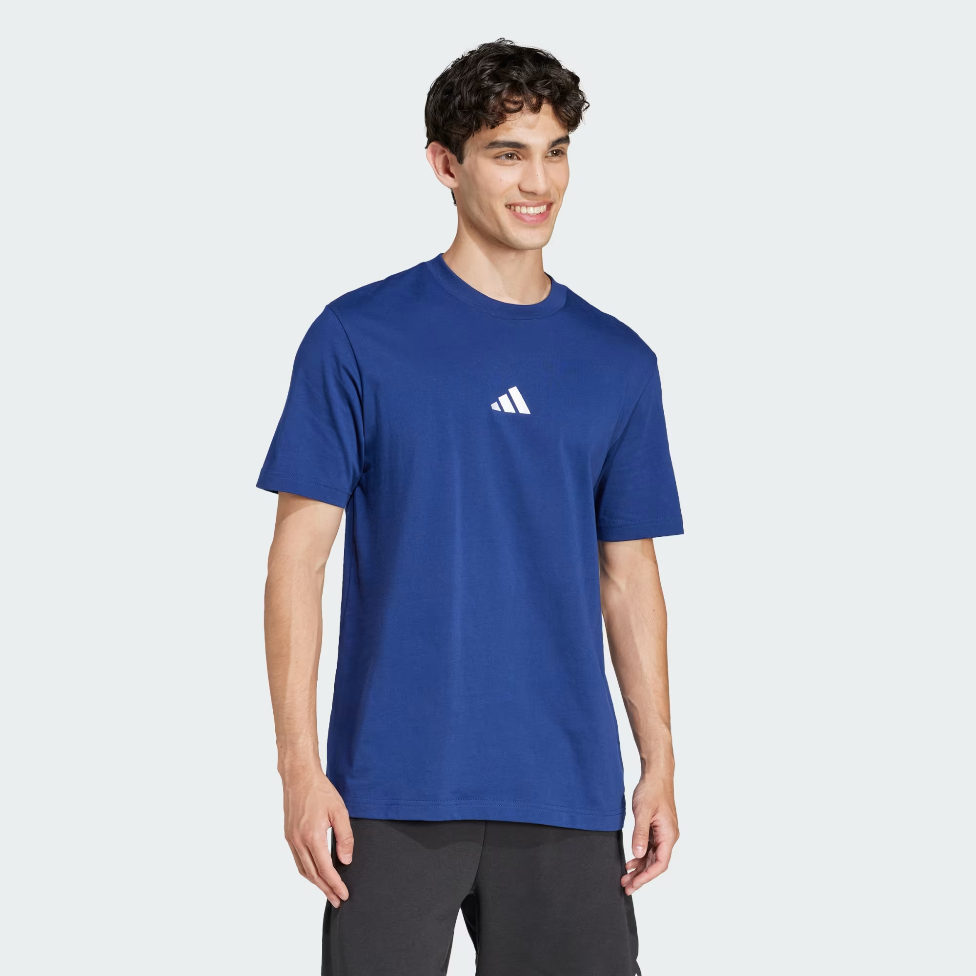 SUETER DE TEJIDO DE PUNTO JERSEY ESSENTIALS SMALL LOGO