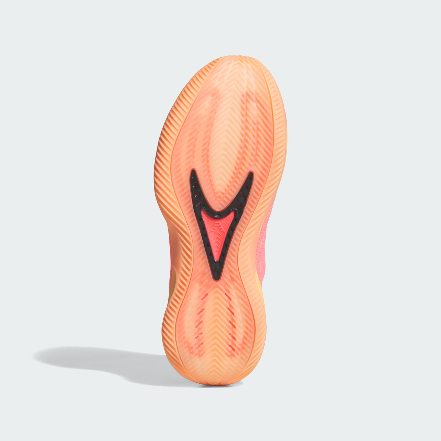 ANTHONY EDWARDS 2 ZAPATOS