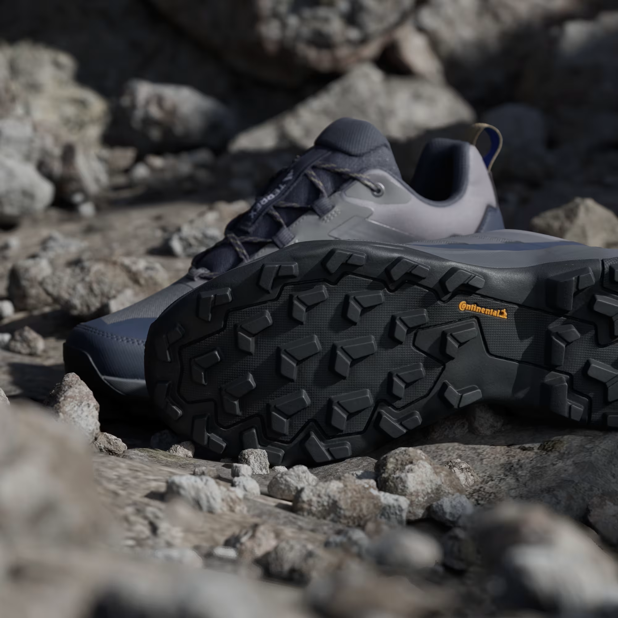 ZAPATILLAS PARA SENDERISMO TERREX SKYCHASER AX5